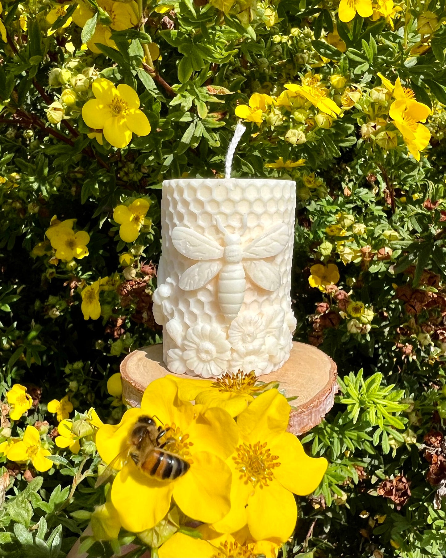 Bougie Abeille