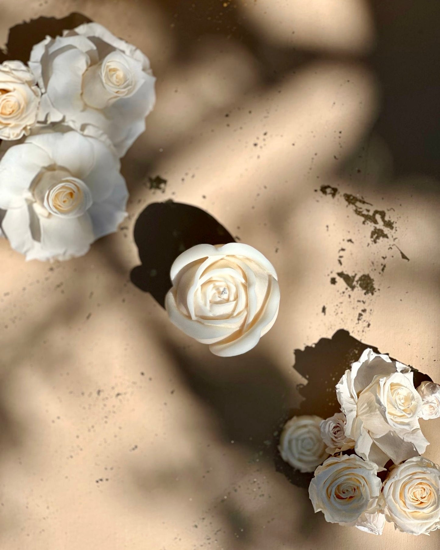 Rose XL