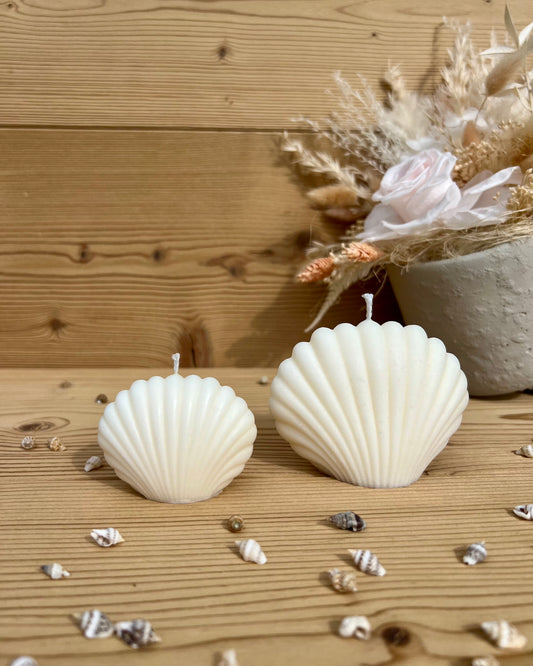 Coquillages